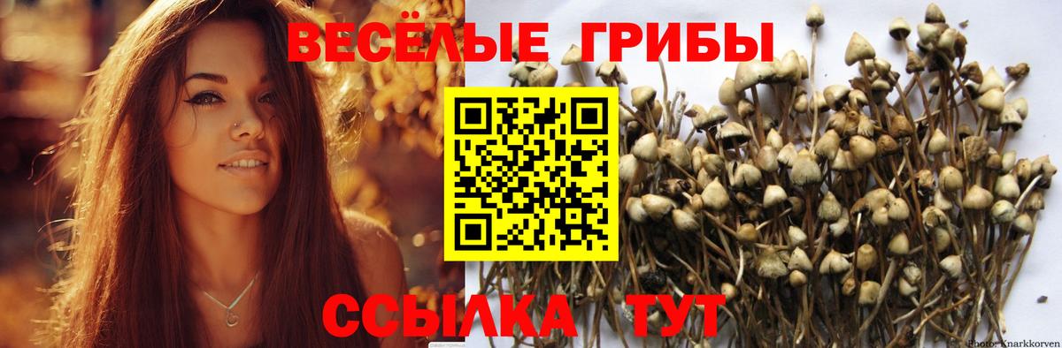 Псилоцибиновые грибы мицелий  Вход с VPN  Электрогорск 
