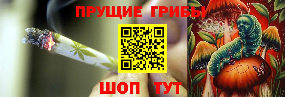 Псилоцибиновые грибы Psilocybine cubensis Электрогорск
